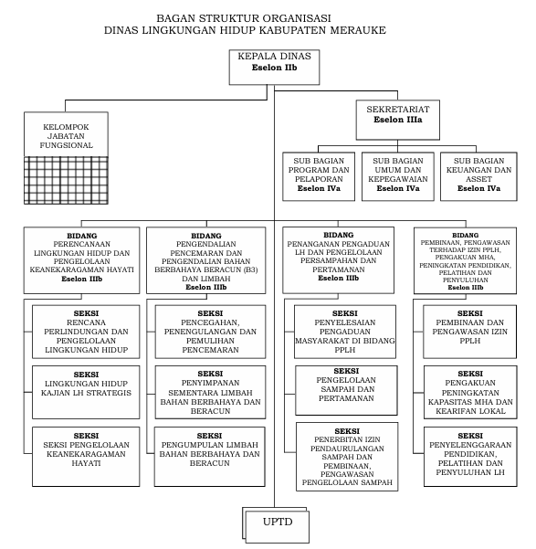 Struktur Organisasi Dinas Lingkungan Hidup Kabupaten Merauke