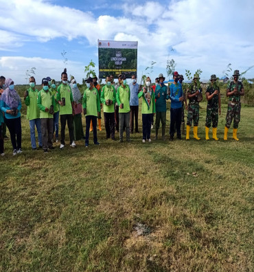 Penanaman Pohon Memadai Hari Lingkungan Hidup Sedunia 